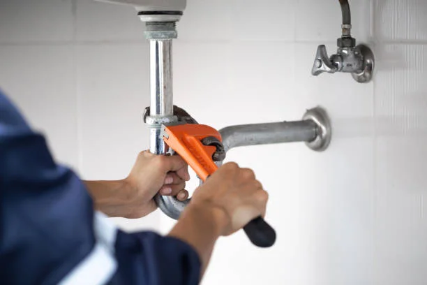 Toilet Repair